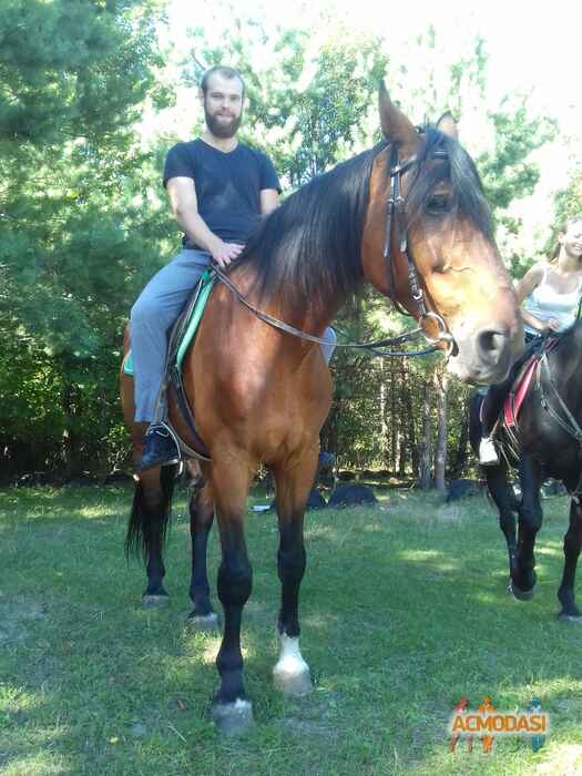 Максим Сергійович Тищенко фото №1032205. Завантажено 16 Березня 2017