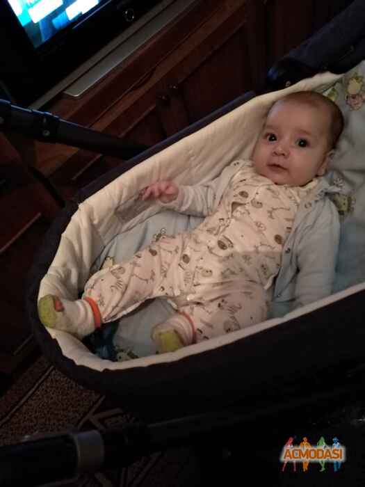 Ромка. Альона  Плиса фото №1528533. Завантажено 08 Травня 2020