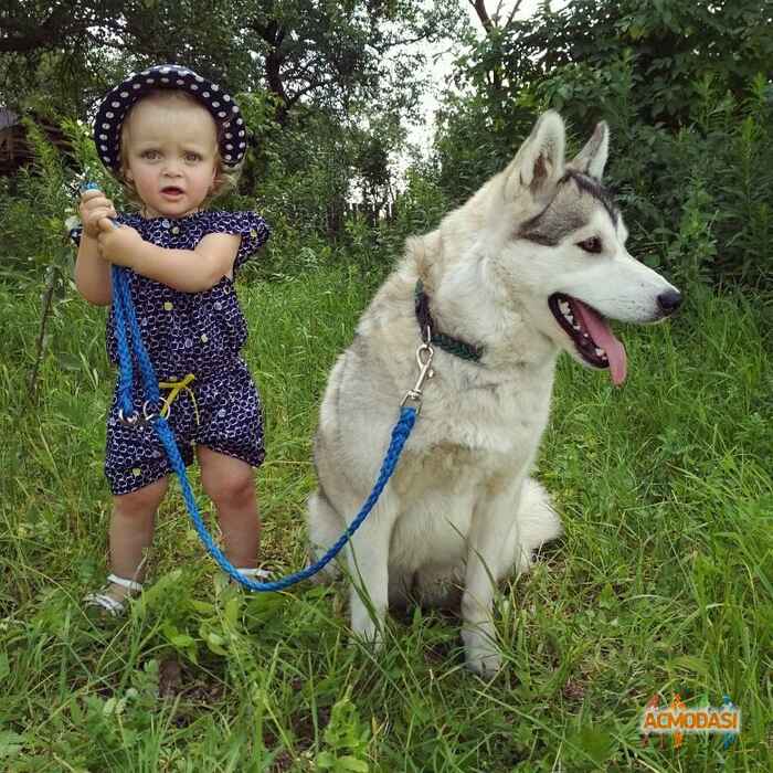 Аріша Олександрівна Теслюк фото №1071672. Завантажено 27 Червня 2017