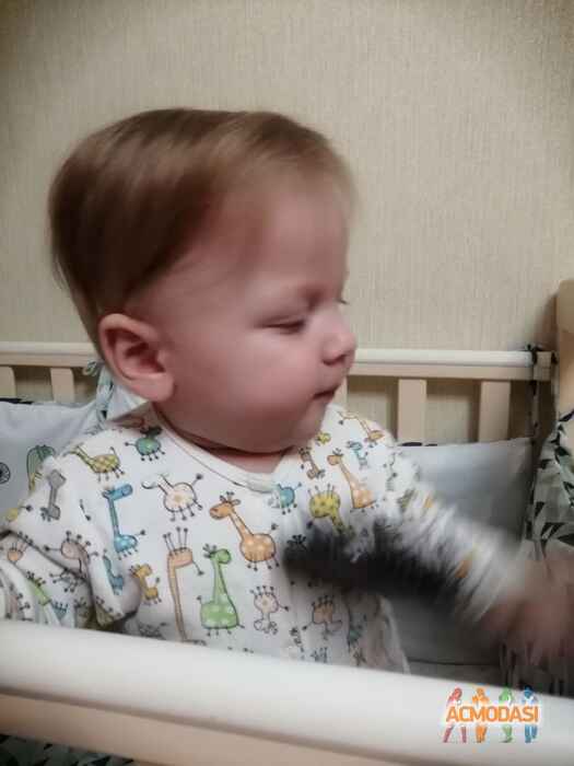 Алла  Гутник фото №1501688. Завантажено 26 Січня 2020