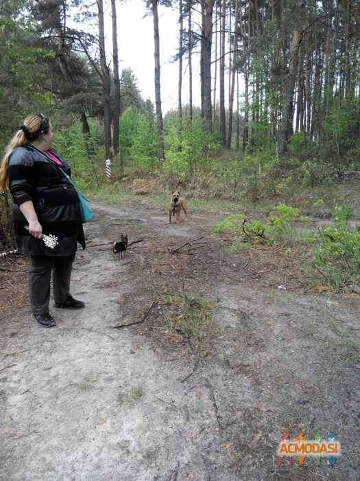 Олена Олександрівна Бондаренко фото №1385214. Завантажено 01 Квітня 2019