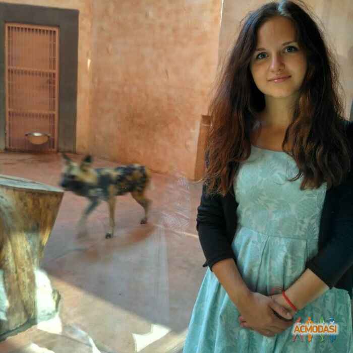 Валентинка  Мыкула фото №1102870. Завантажено 11 Вересня 2017