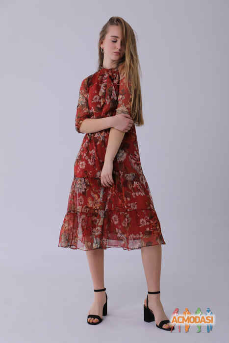 Елизавета Валеріївна Шайда фото №1505390. Завантажено 04 Лютого 2020