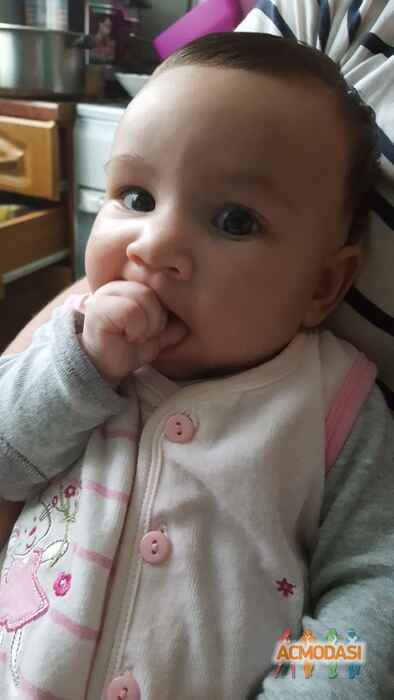 Айсель Асифовна Керимова фото №1011130. Завантажено 24 Січня 2017