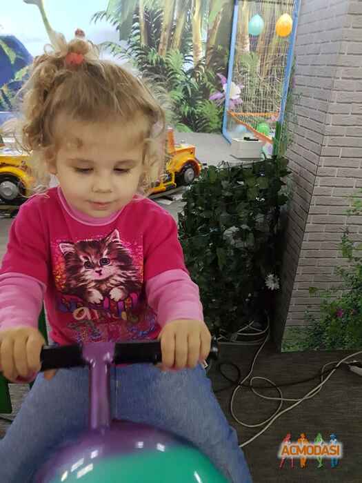 Ольга Василівна Дзюба фото №1131256. Завантажено 06 Листопада 2017