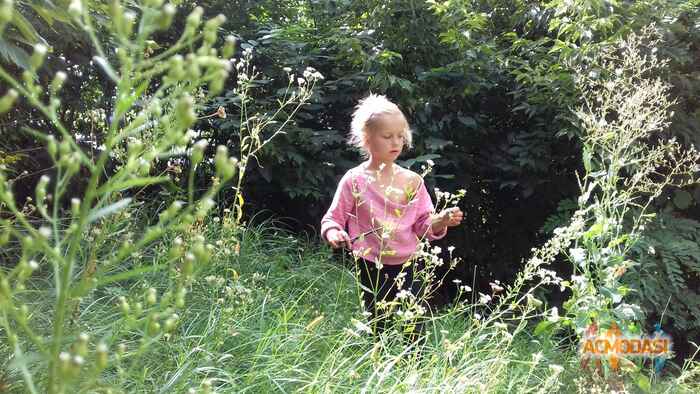 Світлана   фото №957182. Завантажено 13 Вересня 2016