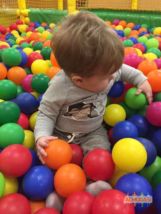 Михайло   фото №1015530. Завантажено 03 Лютого 2017