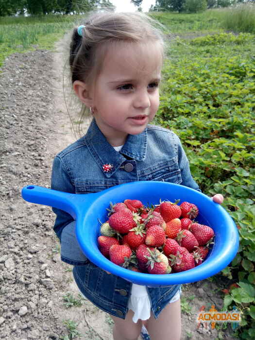 Влада Михайлівна Січак фото №1406426. Завантажено 03 Червня 2019