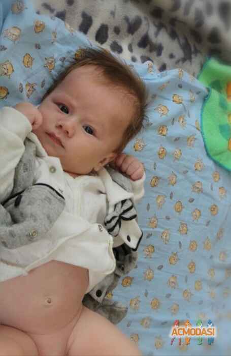 Дарина  Кравченко фото №1481360. Завантажено 28 Листопада 2019