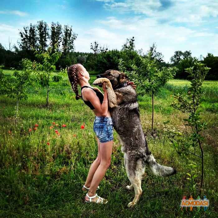 Анна Сергіївна Гайдукова фото №1323751. Завантажено 16 Листопада 2018