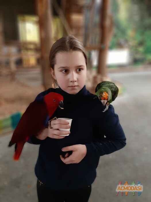 Софийка   фото №1599679. Завантажено 16 Січня 2021