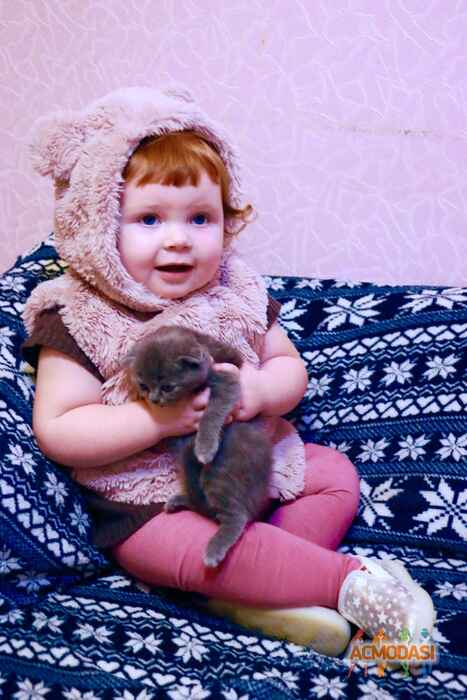 ева ильивна Цлаф фото №1140099. Завантажено 20 Листопада 2017