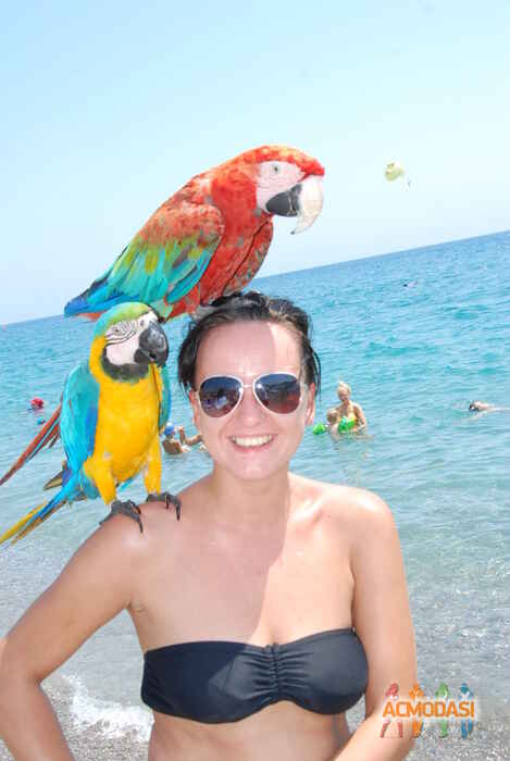 Татьяна Сергеевна Вашкулат фото №159334. Завантажено 03 Березня 2012