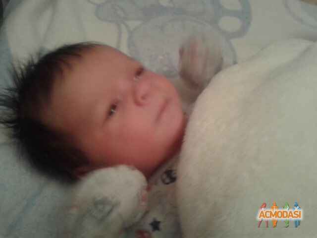 Іван Олександрович Штонда фото №1036793. Завантажено 28 Березня 2017