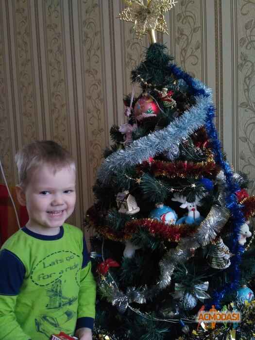 Володимир  Шеманаев фото №1032668. Завантажено 17 Березня 2017