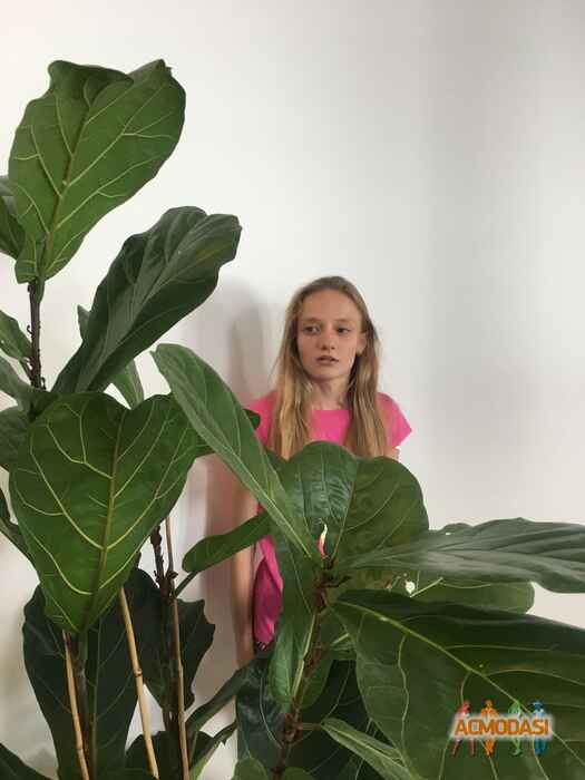 Анна Олександрівна Павліченко фото №1094415. Завантажено 22 Серпня 2017