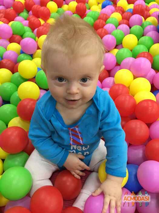 Герман Михайлович Котул фото №1107253. Завантажено 21 Вересня 2017