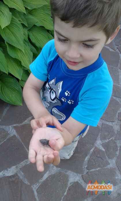 Максим  Терещенко фото №1141400. Завантажено 22 Листопада 2017