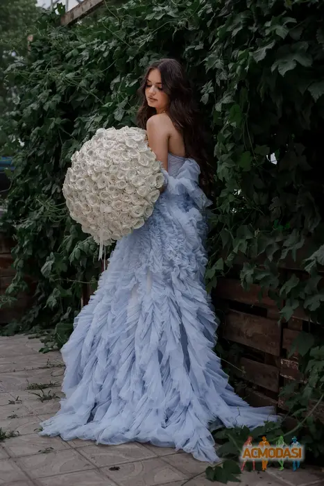 Olena   фото №1750264. Завантажено 30 Листопада 2025