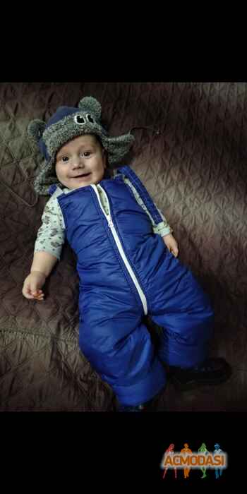 Назар Вікторович Остапчук фото №1479492. Завантажено 25 Листопада 2019