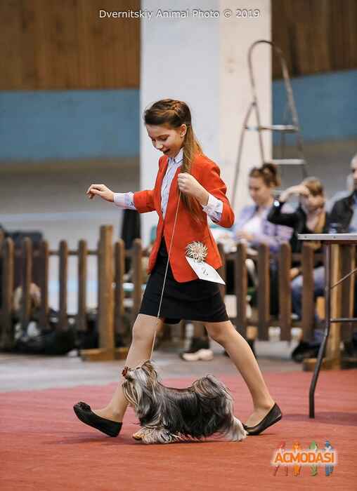 Даша Романовна Клименко фото №1471936. Завантажено 07 Листопада 2019