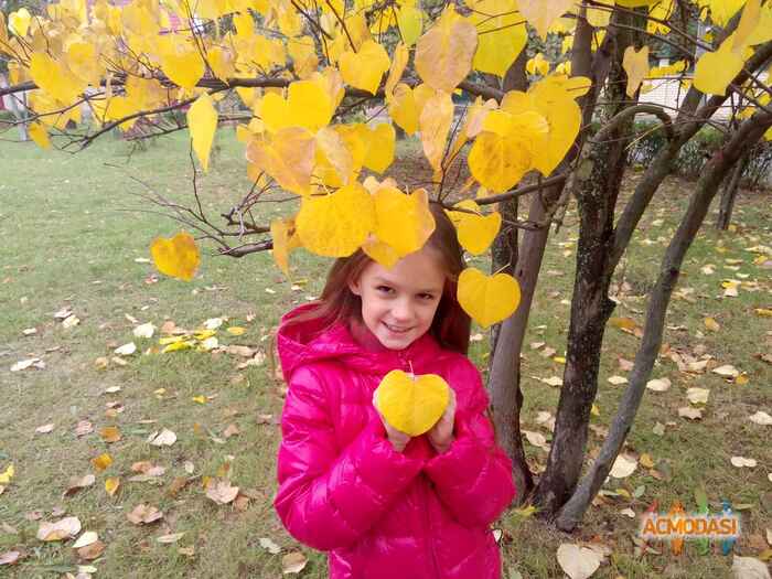 Вероника  Шмайденко фото №1070650. Завантажено 24 Червня 2017