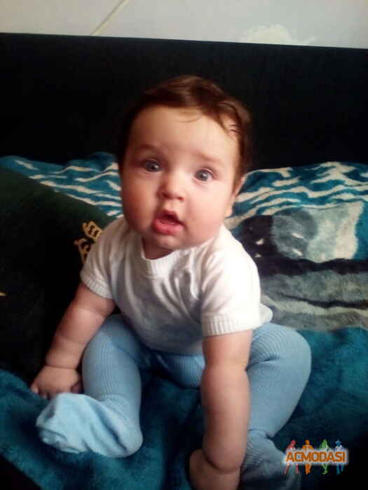 Данило Іванович Дейнега фото №1009703. Завантажено 20 Січня 2017