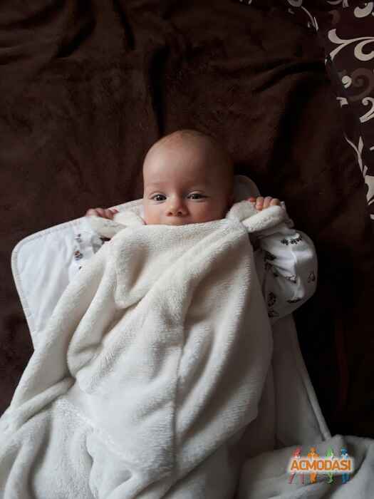 Давид Александрович Бушковский фото №1060299. Завантажено 30 Травня 2017