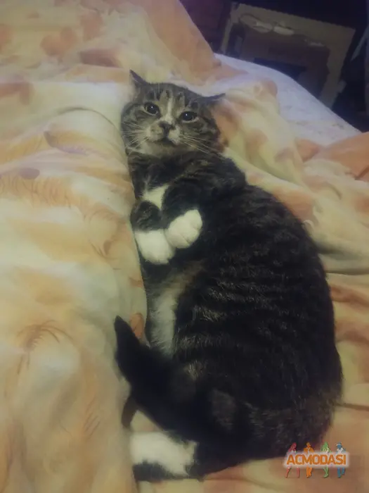 Public  Enemy фото №1745038. Завантажено 13 Липня 2025