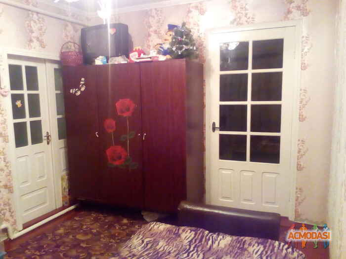 Света Михайлівна Коновалюк фото №1135943. Завантажено 13 Листопада 2017