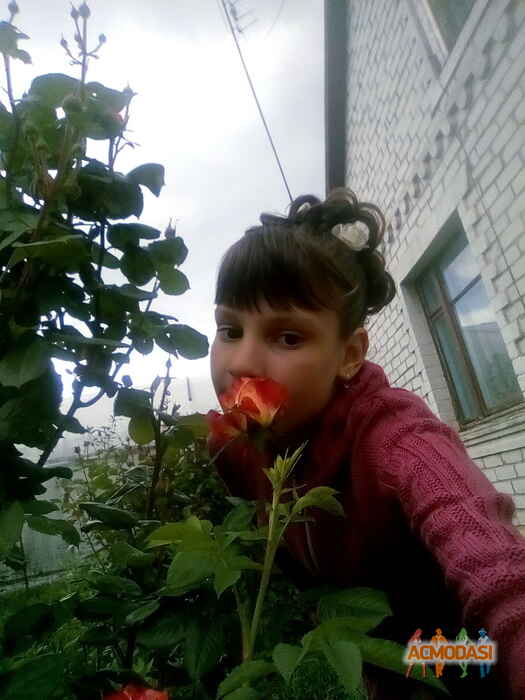 Виолетта Геннадиевна Московчук фото №1097801. Завантажено 30 Серпня 2017