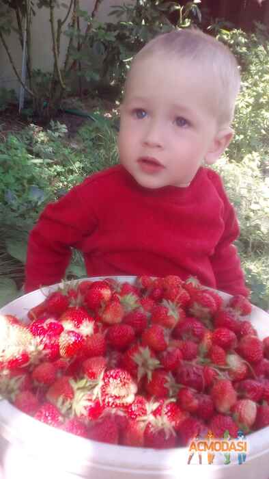 Денис Олександрович Гарбузюк фото №1117365. Завантажено 12 Жовтня 2017