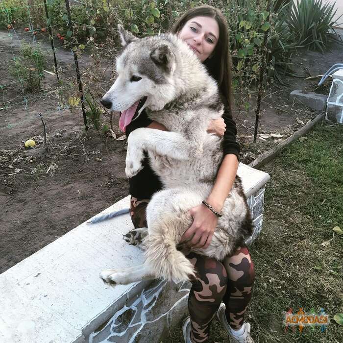 Елизавета   фото №1662350. Завантажено 26 Жовтня 2021