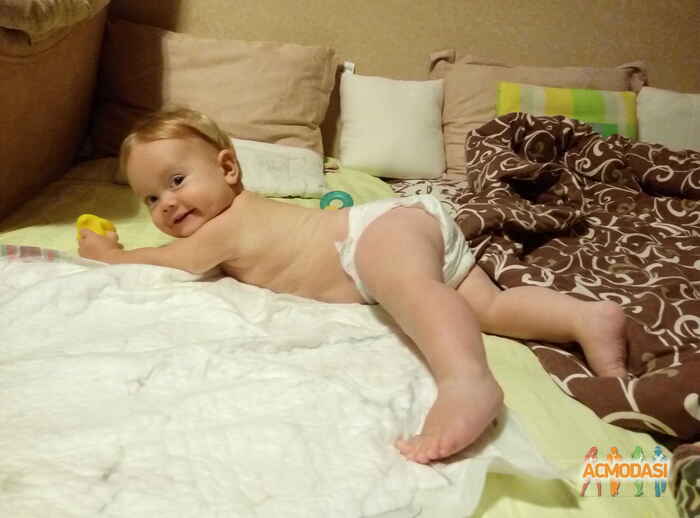 Євангеліна Максимівна Волошенюк фото №986748. Завантажено 18 Листопада 2016