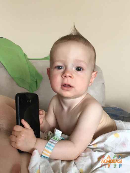 Роберт   фото №1075707. Завантажено 07 Липня 2017