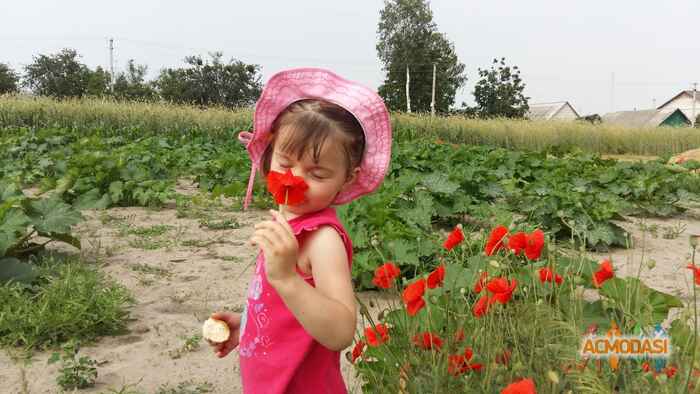 Катюша  Криворучко фото №1091511. Завантажено 14 Серпня 2017