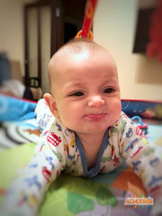 Мирон Михайлович Новіцький фото №1174307. Завантажено 28 Січня 2018