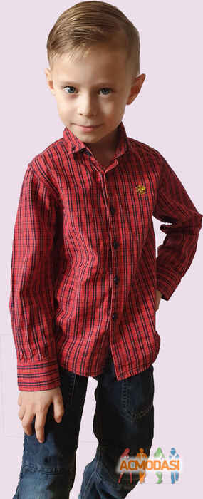 Диана  Стешенко фото №1537159. Завантажено 09 Червня 2020