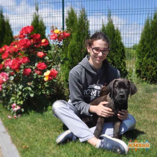 Поліна Андріївна Почтарьова фото №1091551. Завантажено 14 Серпня 2017