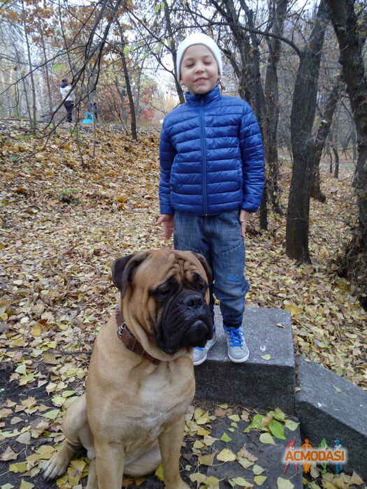 Иван Максимович Супроткин фото №968432. Завантажено 08 Жовтня 2016