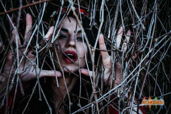 Юлия Николаевна Дащенко фото №1040231. Завантажено 06 Квітня 2017