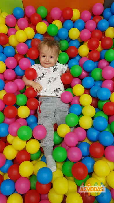 Давид   фото №1479831. Завантажено 25 Листопада 2019