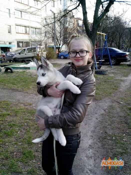 Анастасия  Куликова фото №951185. Завантажено 30 Серпня 2016