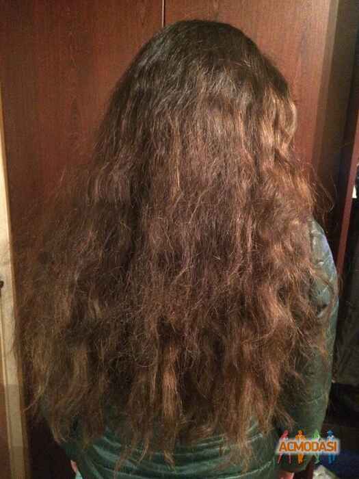 Ольга Миколаївна Марчук фото №1036648. Завантажено 27 Березня 2017