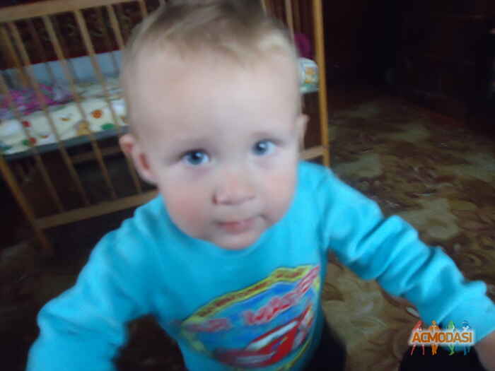 Данило   фото №1102619. Завантажено 11 Вересня 2017