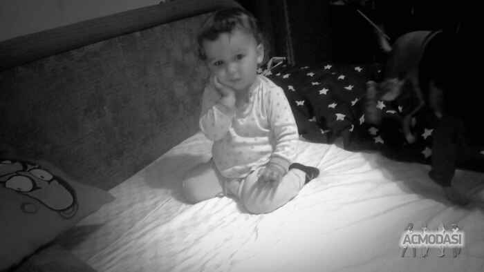 Ритка  Маргаритка фото №1045670. Завантажено 21 Квітня 2017