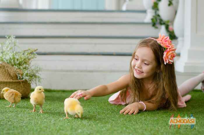 Снежана Максимовна Ушакова фото №1403706. Завантажено 25 Травня 2019