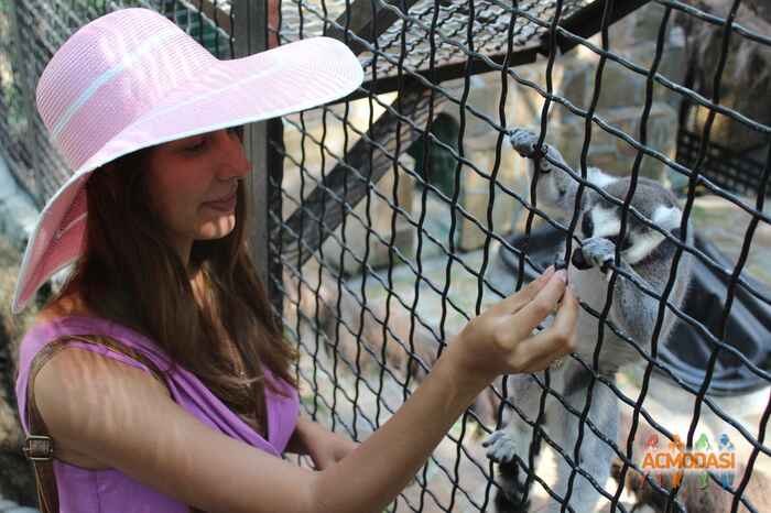 Мария Васильевна Щука фото №1012505. Завантажено 27 Січня 2017