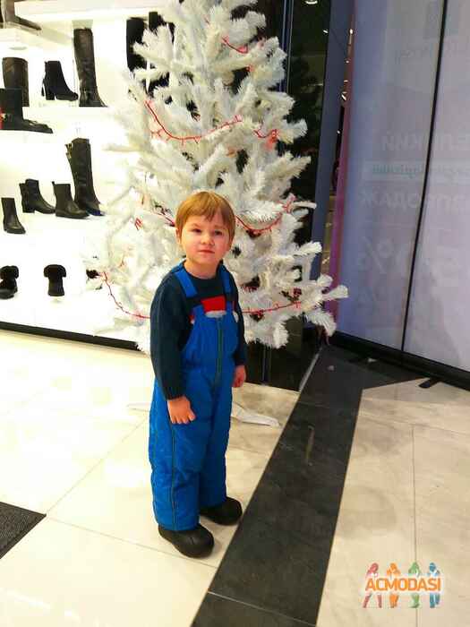 Олена   фото №1138992. Завантажено 18 Листопада 2017