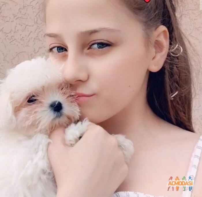 Анастасія Романівна Березовська фото №1523091. Завантажено 12 Квітня 2020